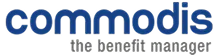 Commodis Logo - Referenzkunde Soulbreak